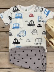 Camiseta carros (1)